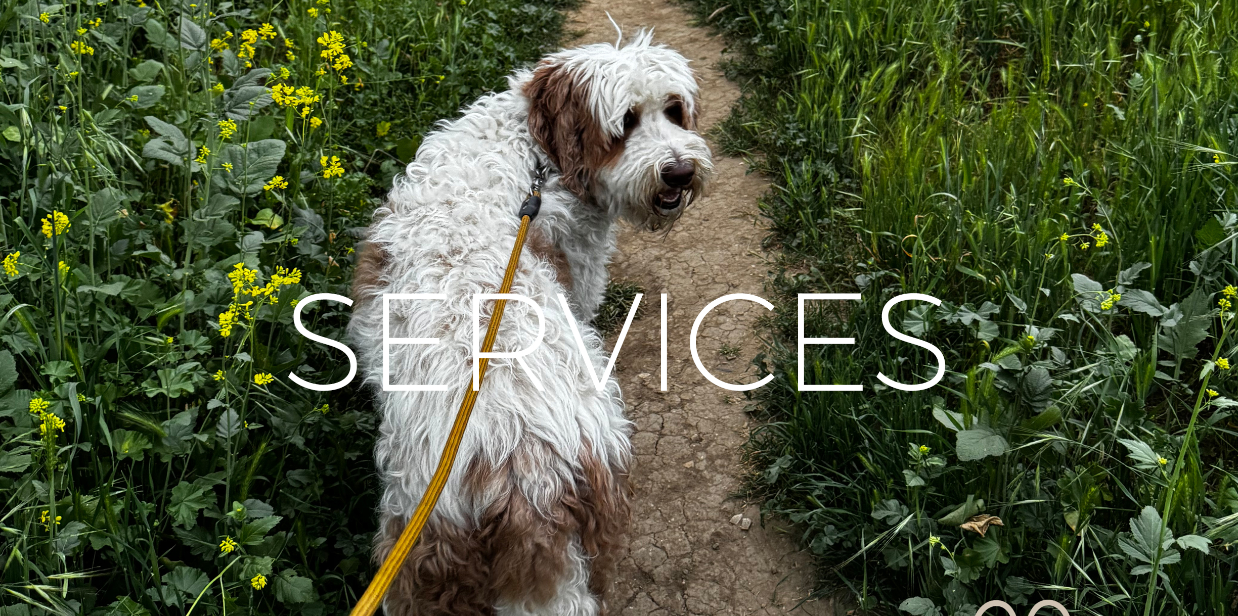 “Services
