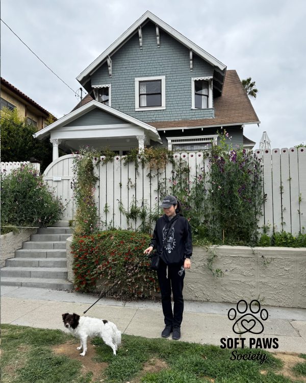 Fast & furious house